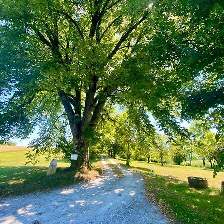 Gite De L'Edelinie Nanteuil-Auriac-de-Bourzac Zewnętrze zdjęcie