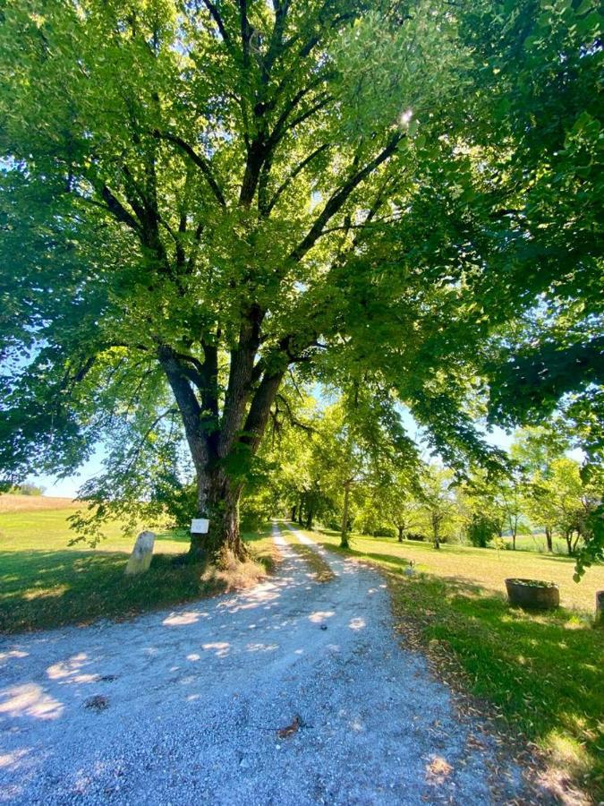 Gite De L'Edelinie Nanteuil-Auriac-de-Bourzac Zewnętrze zdjęcie